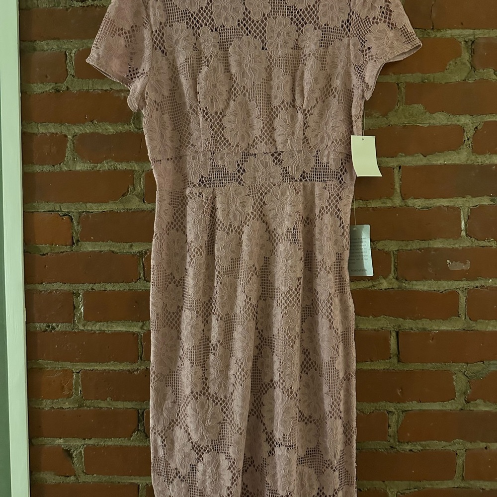 Elegant Lace Dress in Soft Pink
